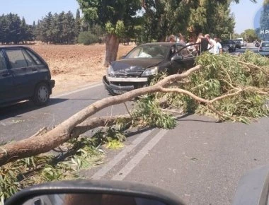 Ρόδος: Γιγάντιο κλαδί έπεσε πάνω σε Ι.Χ. - Από θάυμα γλύτωσε η οδηγός